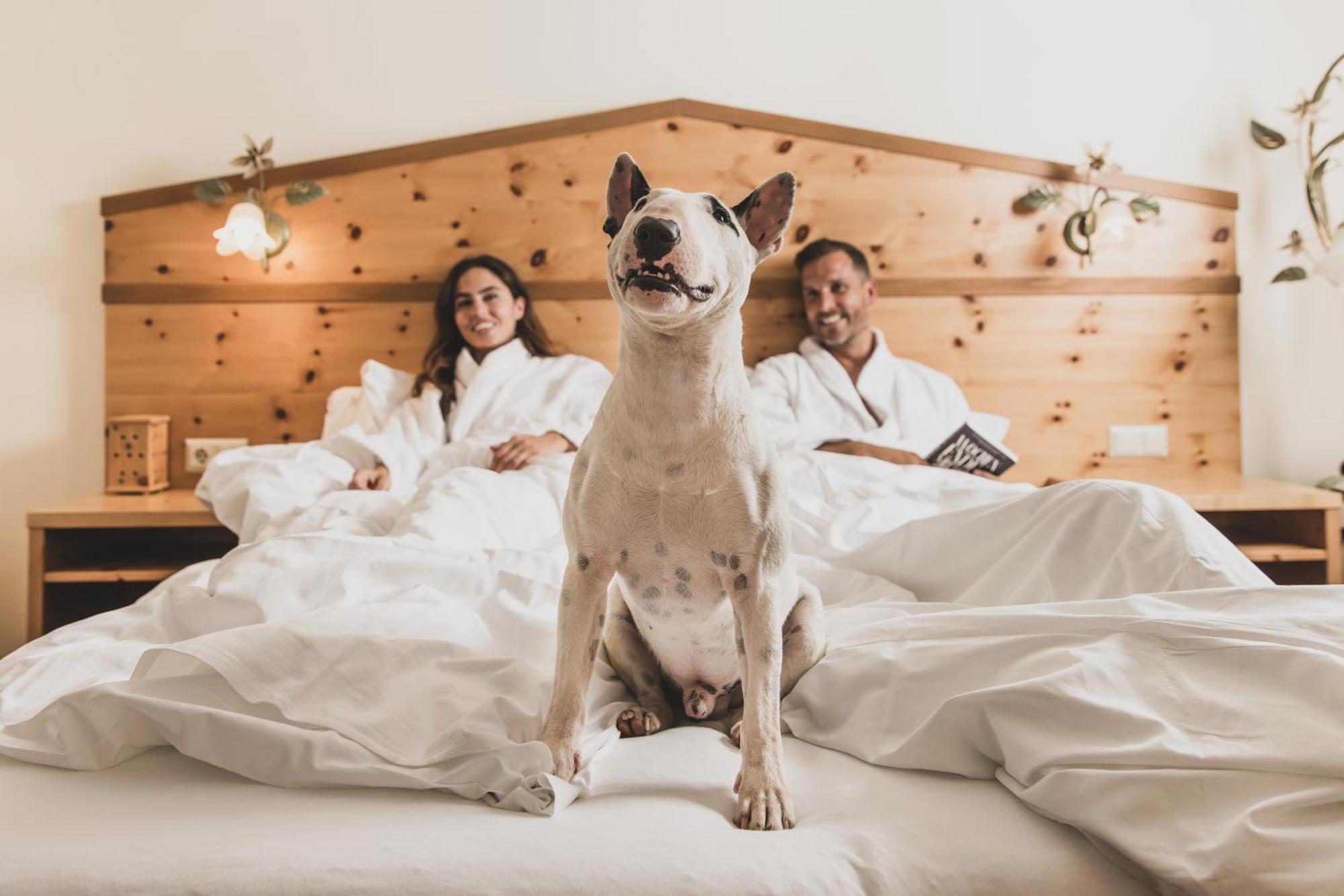 Seehotel Jaegerwirt Turracher Hohe Esterno foto